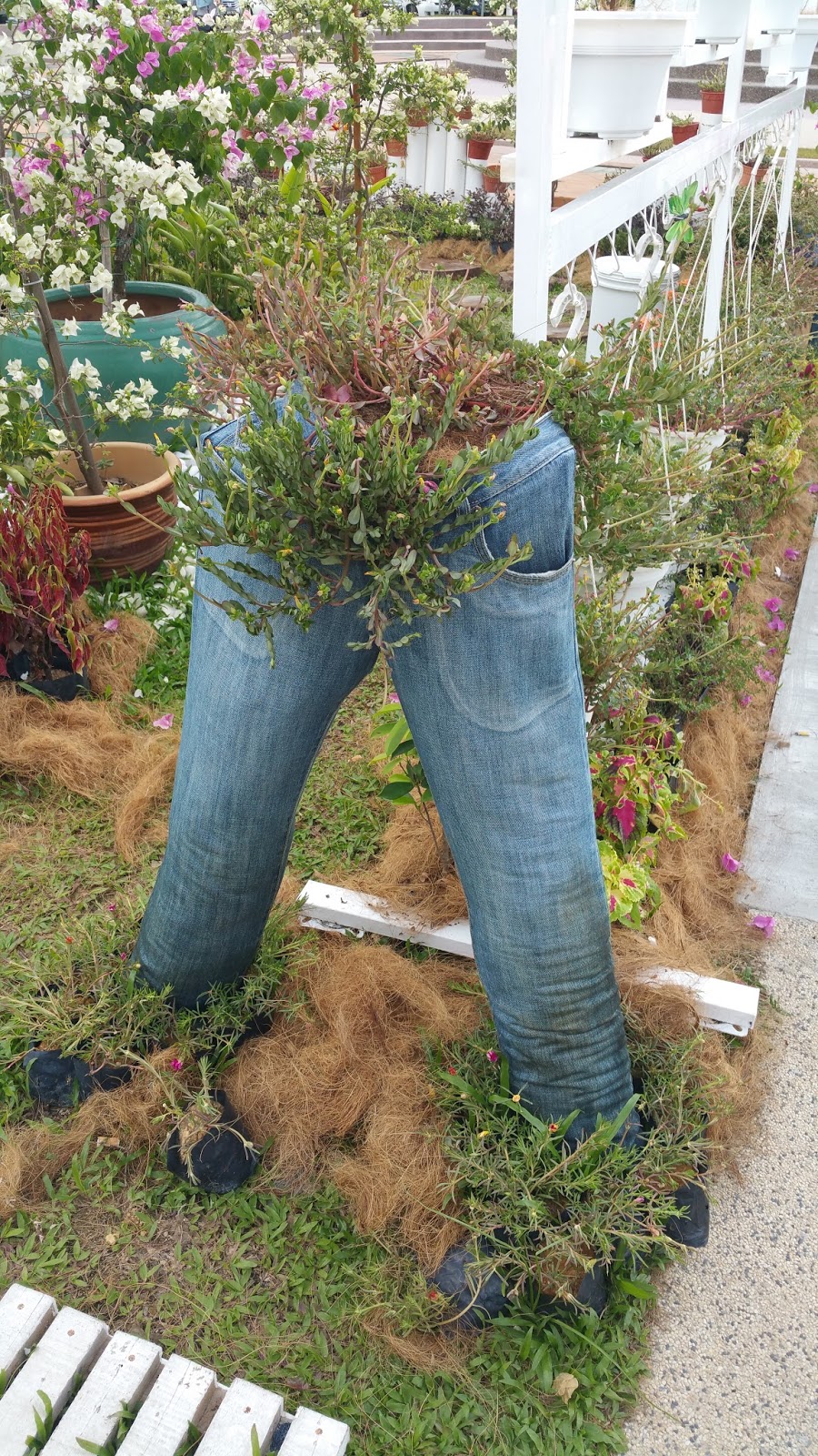 JEANS AS PLANTERS