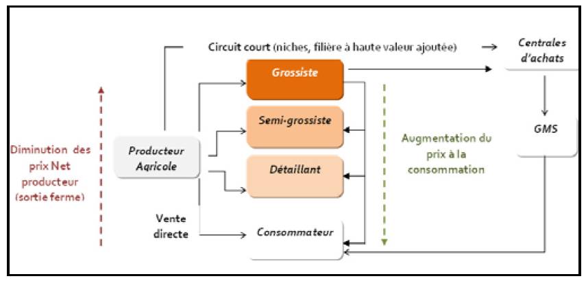 Portail de l'agriculture Marocaine Circuits de distribution Agricoles