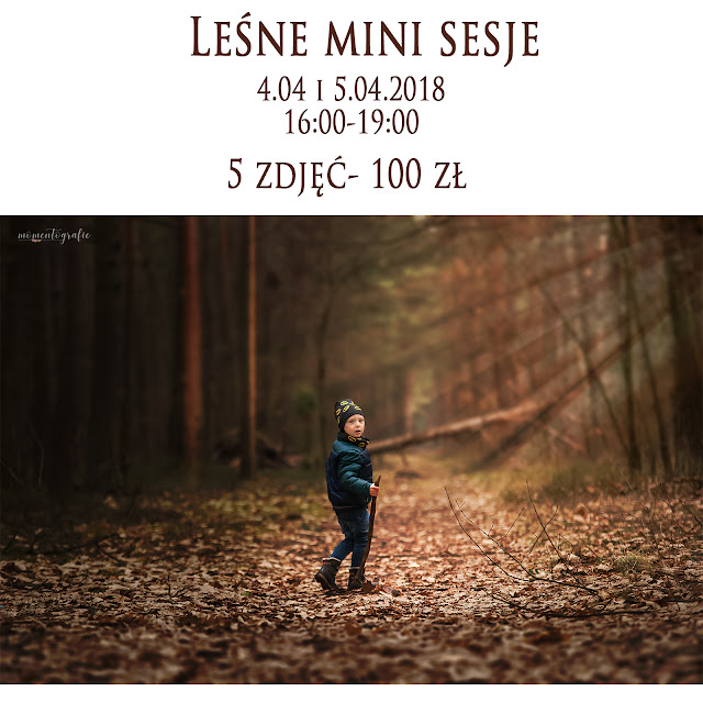 zdjęcia rodzinne, sesje rodzinne, rodzinne sesje zdjęciowe, promocja na zdjęcia, zdjęcia promocyjne, sesje promocyjne, tani fotograf, tanie zdjęcia, fotograf Bukowno, fotograf Olkusz, fotograf Jaworzno, fotograf Sosnowiec, fotograf dziecięcy, cennik zdjęć śląsk, cena zdjęć rodzinnych zdjęcia rodzinne, sesje rodzinne, rodzinne sesje zdjęciowe, promocja na zdjęcia, zdjęcia promocyjne, sesje promocyjne, tani fotograf, tanie zdjęcia, fotograf Bukowno, fotograf Olkusz, fotograf Jaworzno, fotograf Sosnowiec, fotograf dziecięcy, cennik zdjęć śląsk, cena zdjęć rodzinnych
