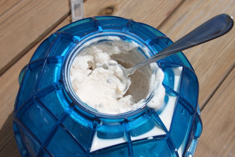 Kara's Creative Place Ice Cream Maker Ball