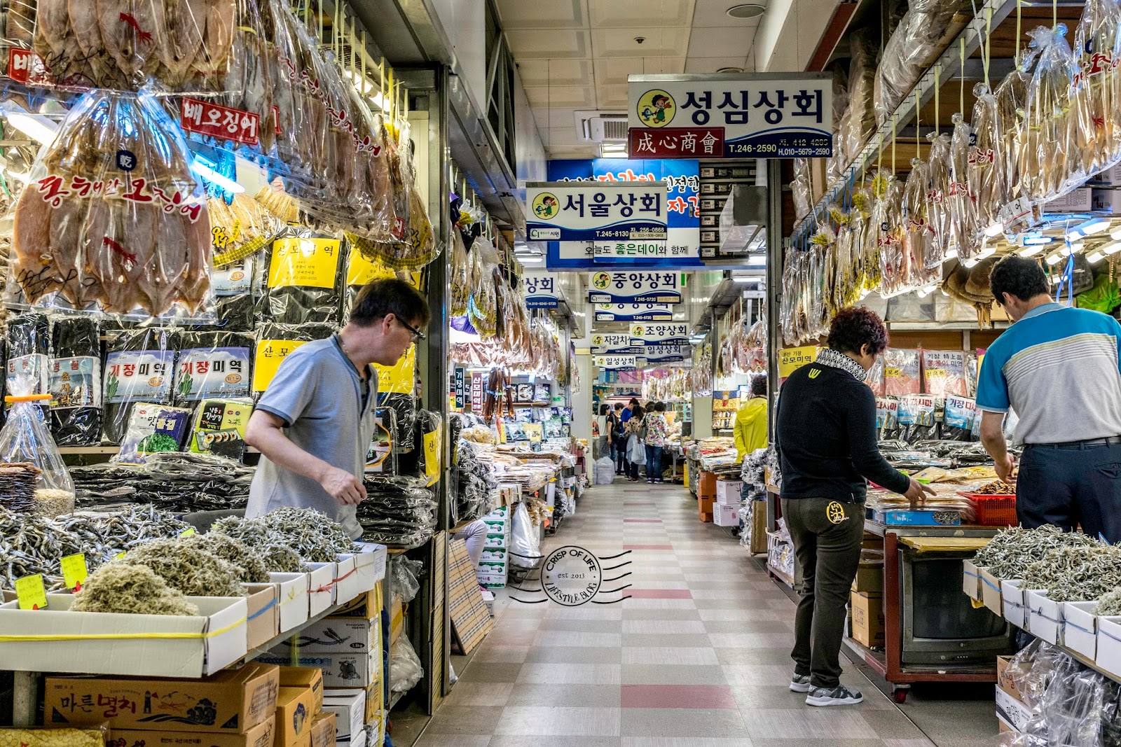 Jagalchi Fish Market Largest Seafood Market in Korea Busan, South