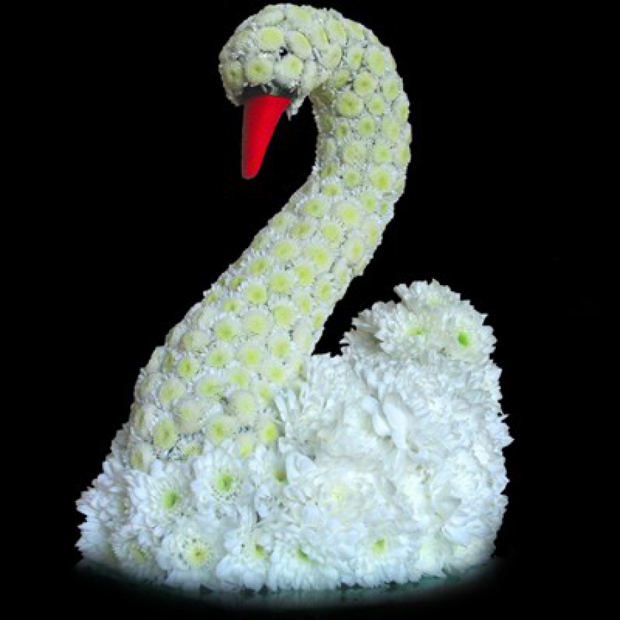 Oh my Fiesta Flowers! Cisne floral. Mascotas florales.