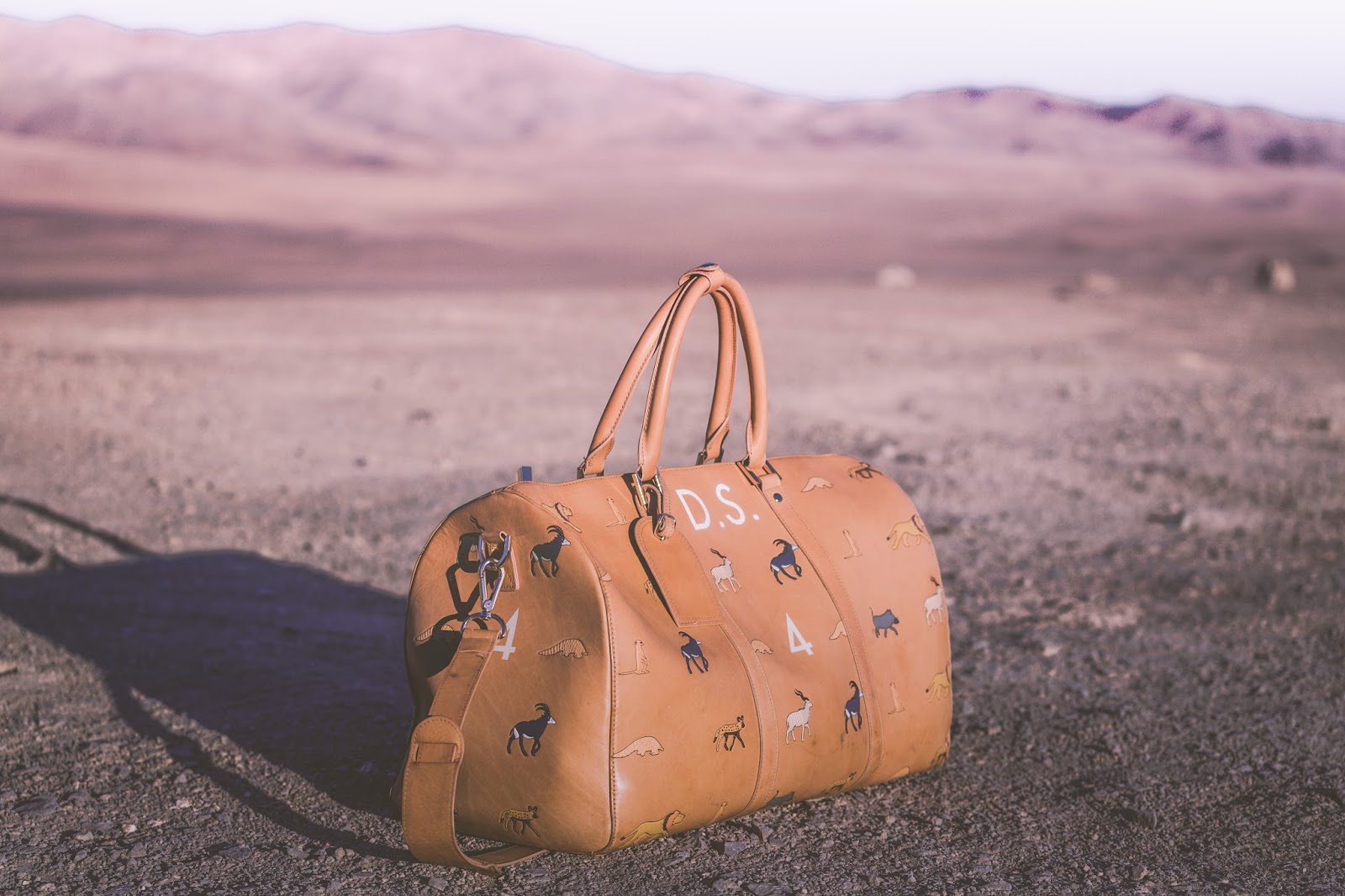 Wes Anderson-Inspired Luggage