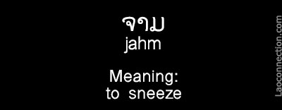 Lao Word of the Day:  To Sneeze / ຈາມ - written in Lao and English