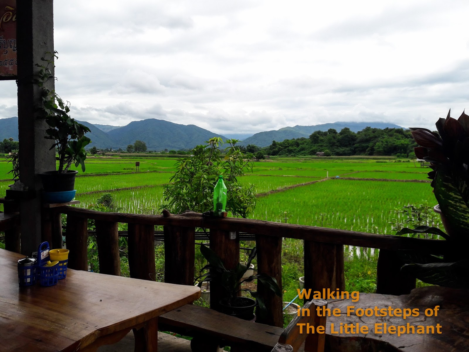 Lunch in Chiang Klang