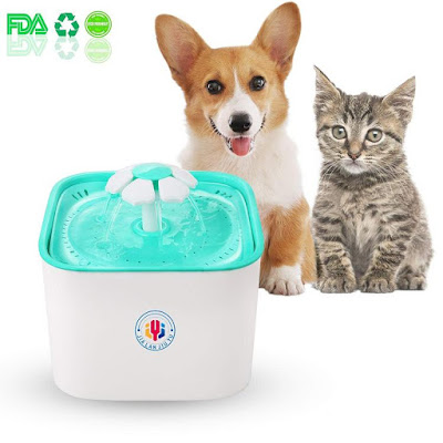 Catit Cat Water Fountain And Food Bowl Catit Cat Water Fountain And Food Bowl
