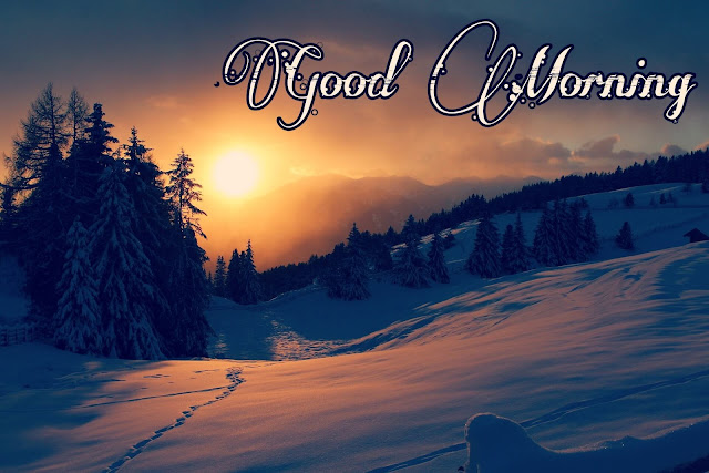 Good Morning Images Download For Whatsapp Good Morning Images Download For Whatsapp