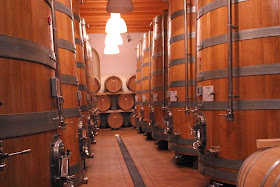 Wine cellar of Monte Zovo