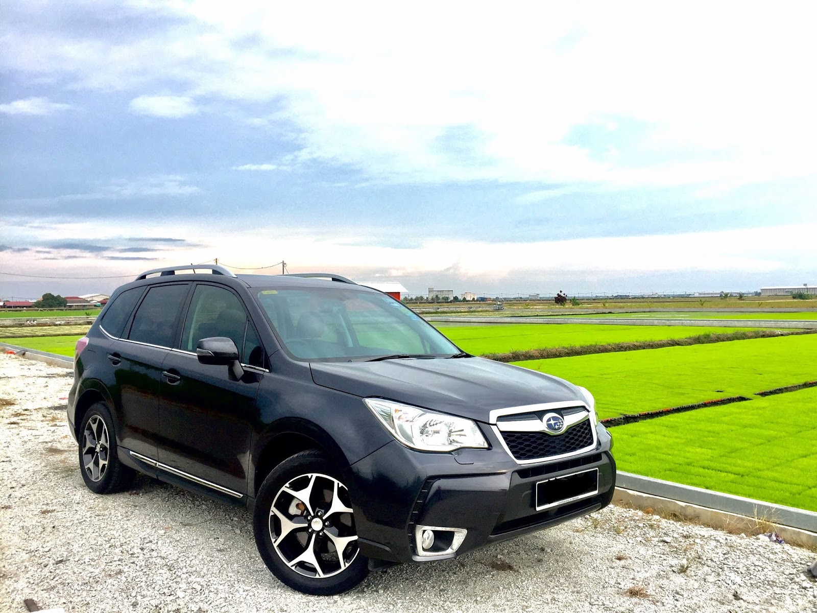 Subaru Forester XT vs 2.0iP Visual Differences