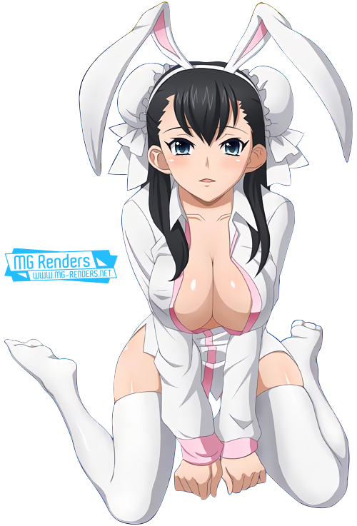 High School DxD - Xuelan Render 13 - Anime - PNG Image without background