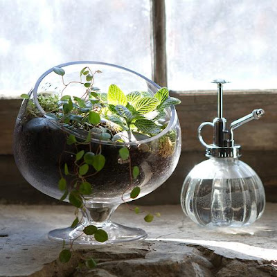 Must Have Terrariums For Your Home Spotlight Terrarium