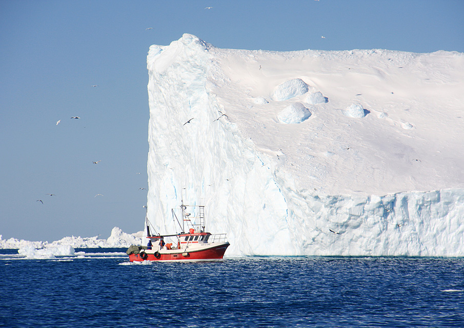 Arctic Business Network Polar Fish flytter