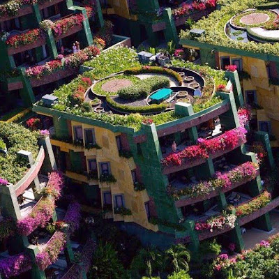 Edificios con jardines y flores por todas partes