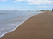 Maine beach