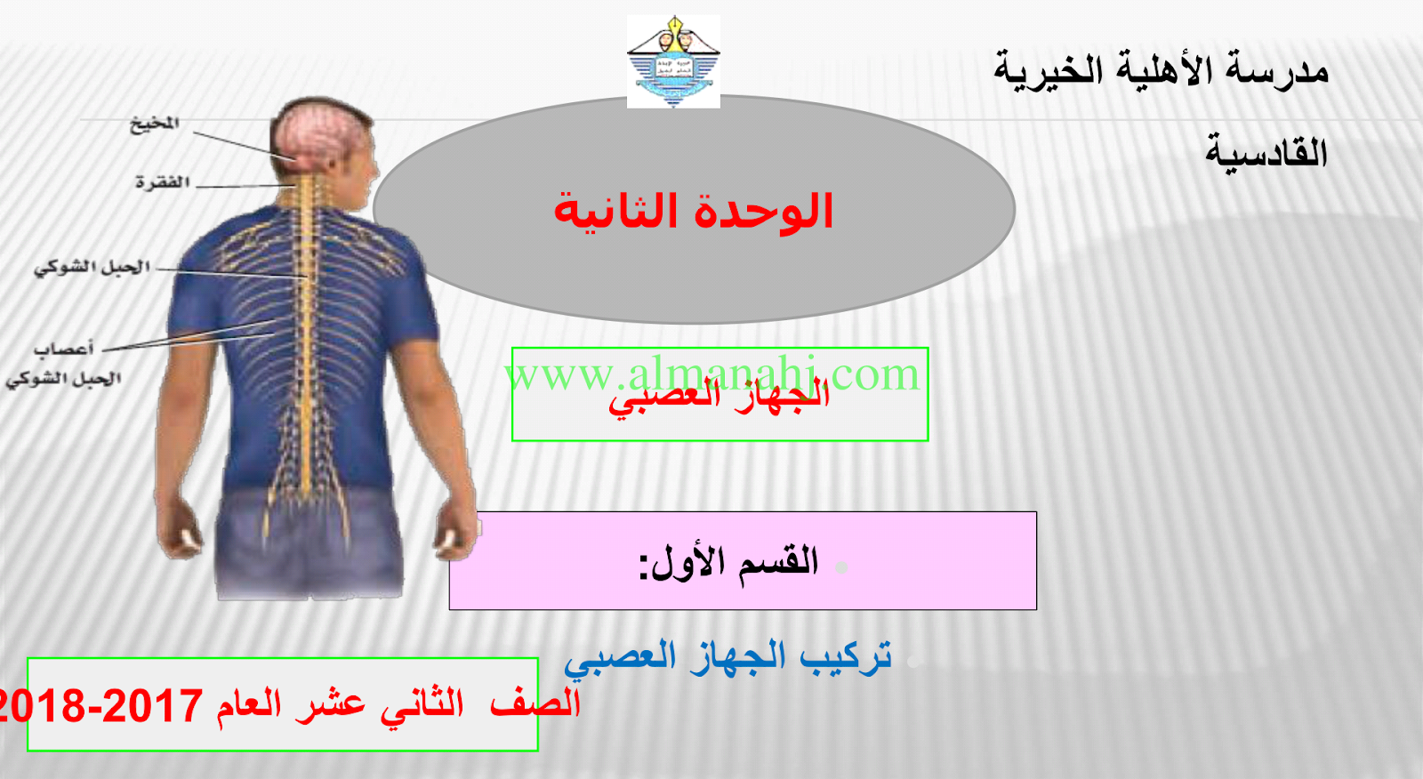 تركيب الجهاز العصبي الصف الثاني عشر العام علوم الفصل الثالث 2017 2018 المناهج الإماراتية
