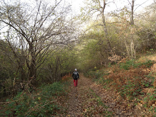 Veigas-Sobrevilla-Canal Botorru-Las Veigas Sobia-Braña Fuexos