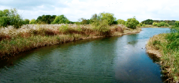 첫 장편드라마 입봉한 여자감독님의 연출력.gif | 인스티즈