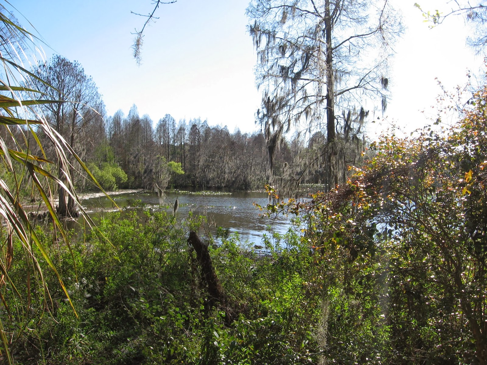 Thonotosassa Florida Baker Creek Boat Ramp on Lake Thonotosassa