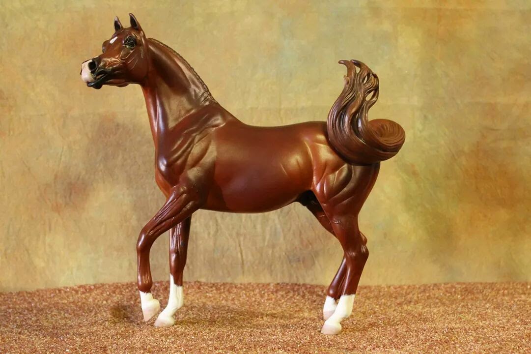 Odin Catalina Odin Catalina