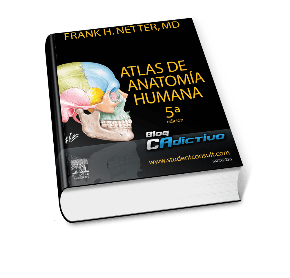 Atlas De Anatomia Humana • 5a Edición Ilustrado • Frank H Netter