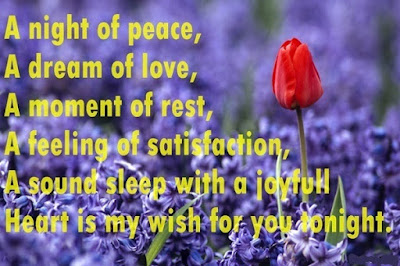 Good Night SMS