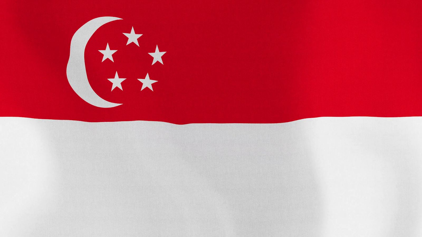 drapeau de singapour