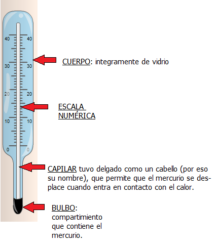 pasos para tomar la temperatura corporal con termometro de mercurio