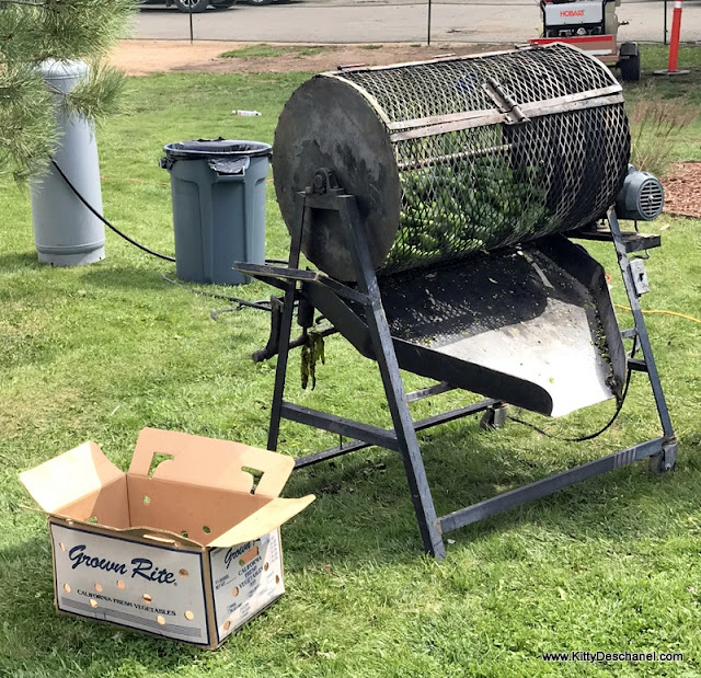 green chile roasting