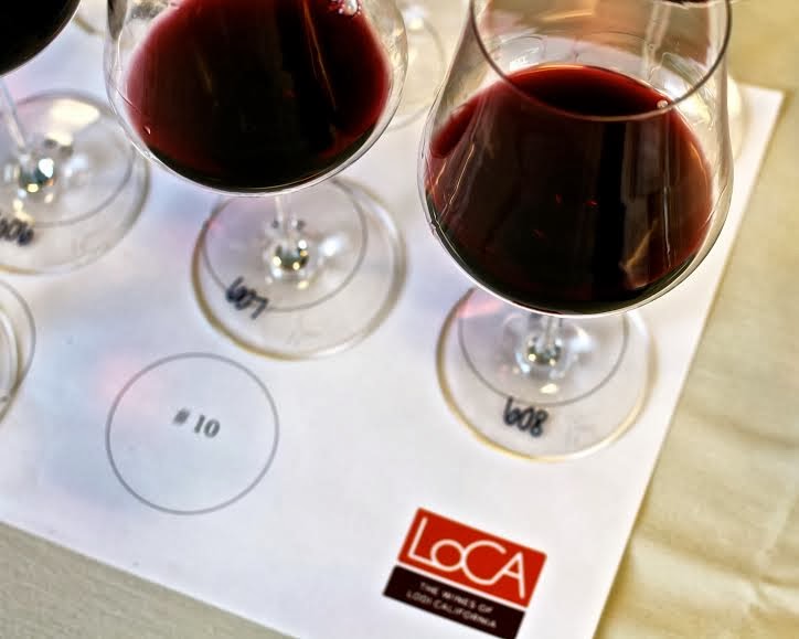 MODERN WINE Top 12 Zinfandels from Lodi