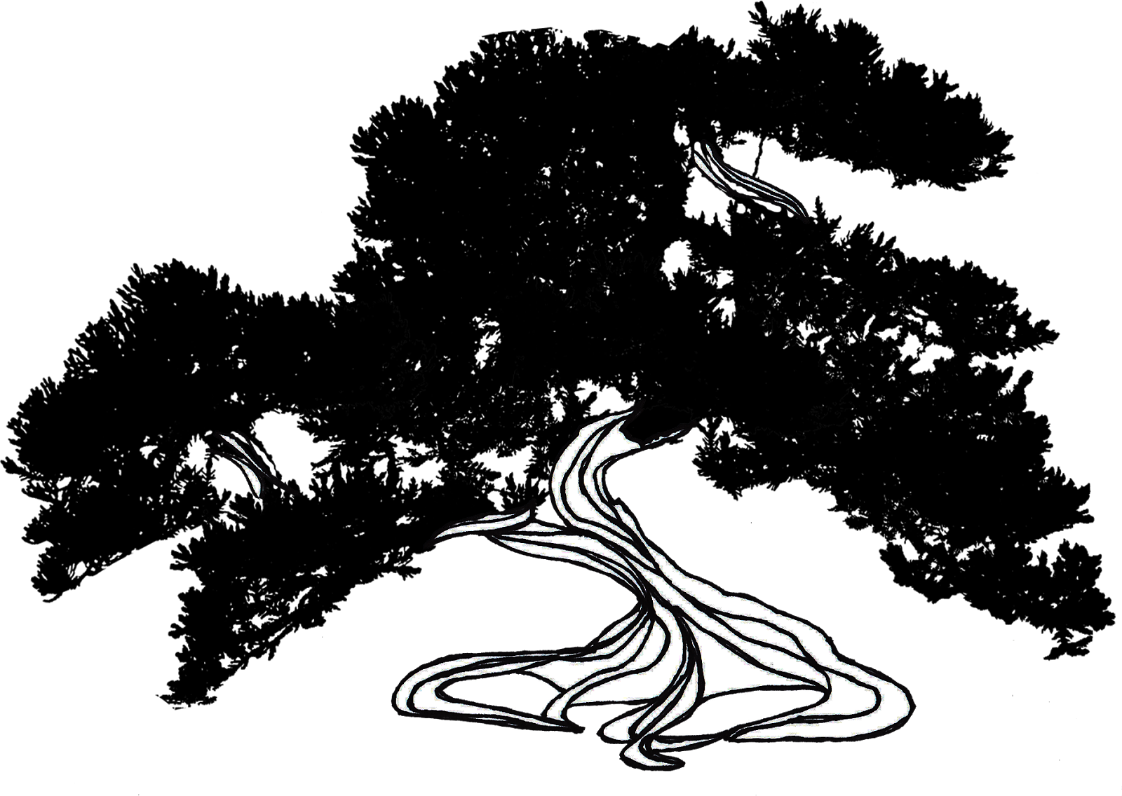 My Protector, My Provider The Elijah Project 7 The Broom Tree