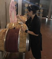 winemaking with Pasqua winery