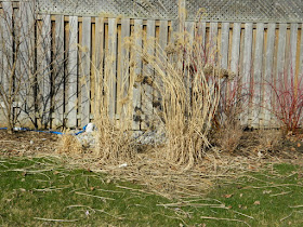 North York Toronto spring garden clean up before by Paul Jung Gardening Services