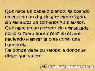 poemas de caballos poemas de caballos