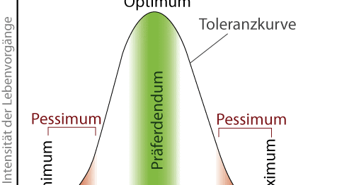 Schüler helfen Schülern: BIOLOGIE Alles zur ÖKOLOGIE Teil 2