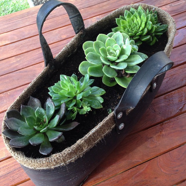 5 Genius Small-Space Garden Ideas - 101 Gardening