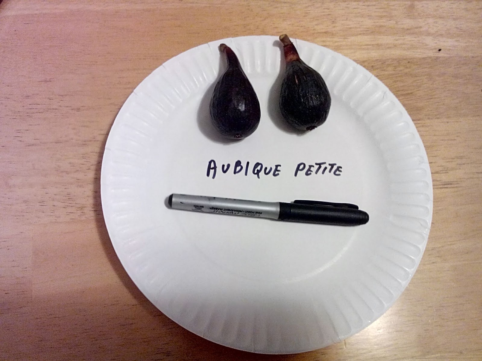 Aubique Petite Fig Var Tin