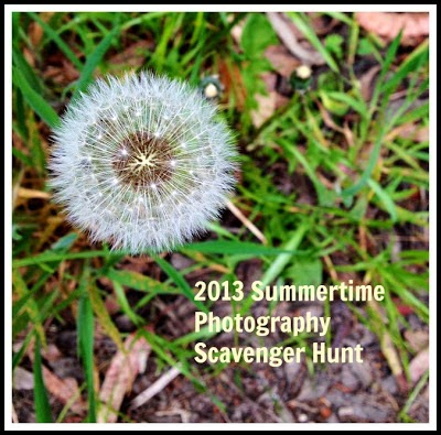 Summertime Photography Scavenger Hunt 2013