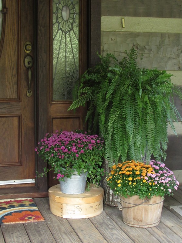 Log Cabin Home Porch for Fall with mums 
