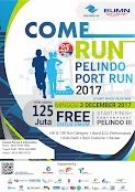 Pelindo Port Run • 2017