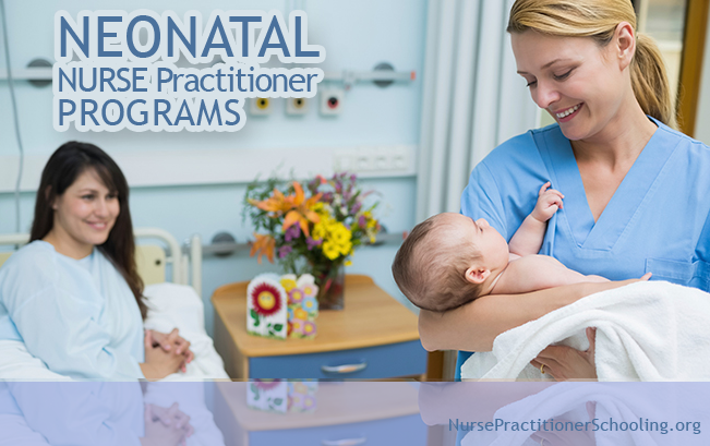 neonatal nurse practitioner programs