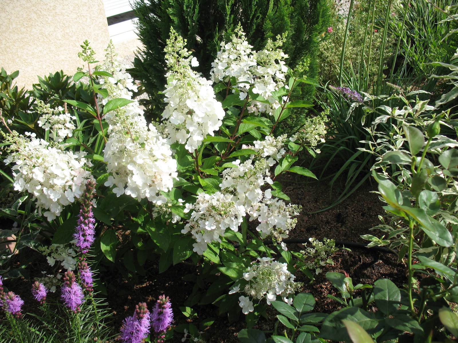 All The Dirt On Gardening