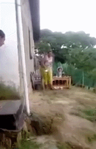 5.gif