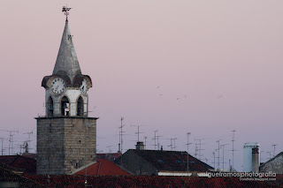 Torre do Relógio Castelo Branco