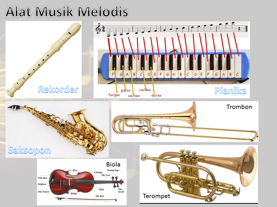 80 Gambar Alat Musik Harmoni Paling Keren 80 Gambar Alat Musik Harmoni Paling Keren