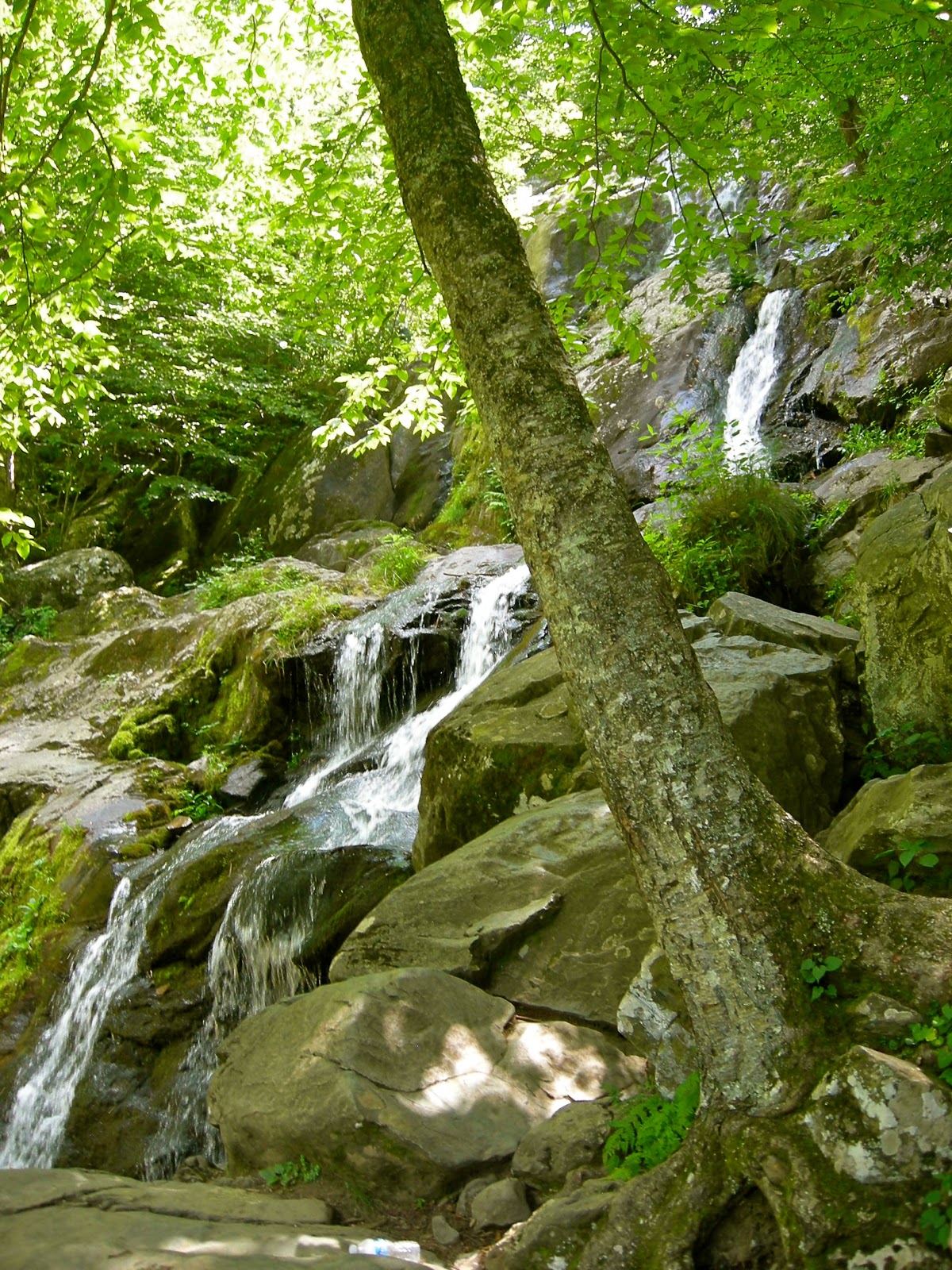 Dark Hollow Falls Dark Hollwo Falls on Skyline Drive VA
