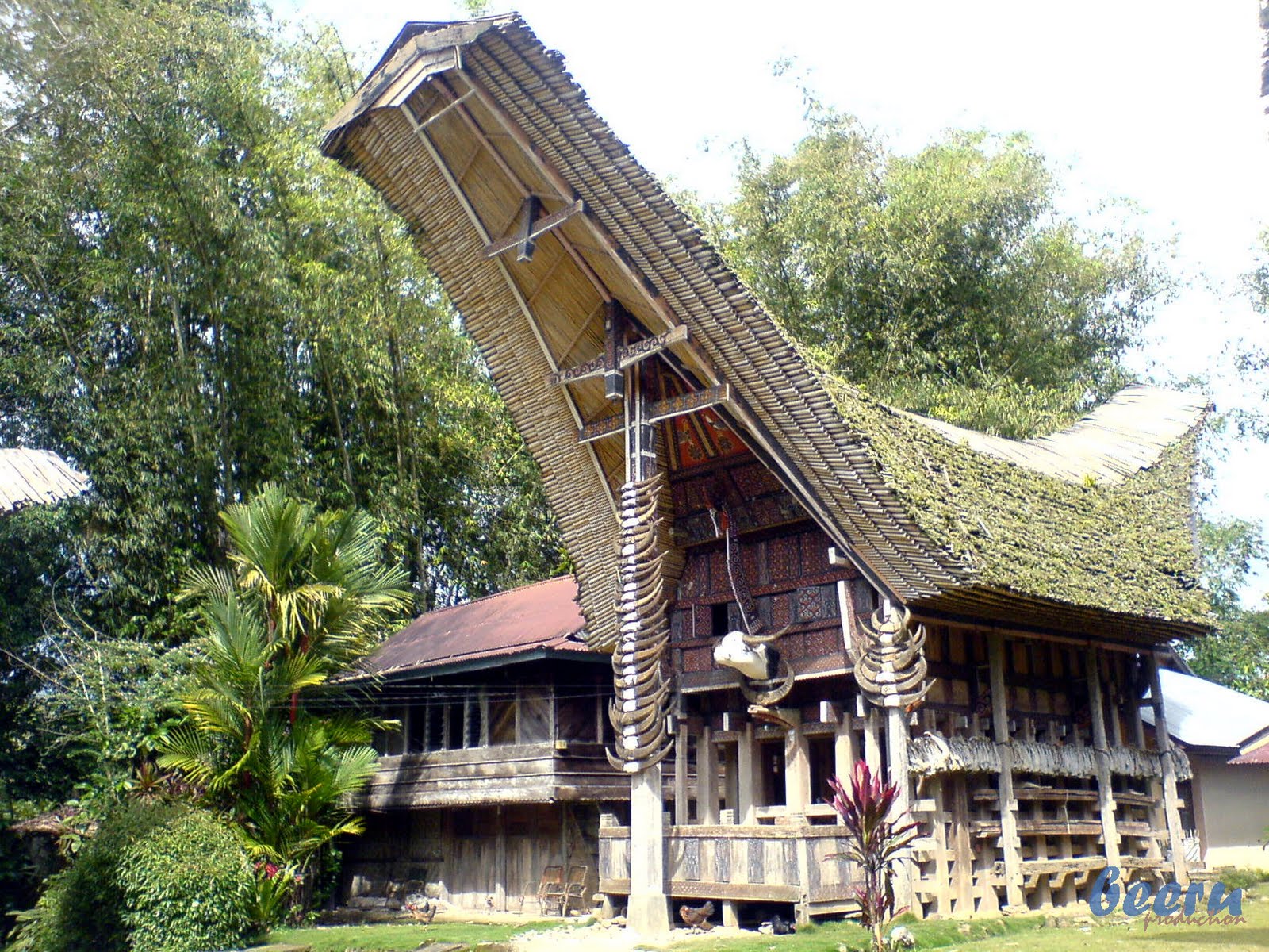 51 Rumah Modern Toraja Terbuat Dari Top<script async src=