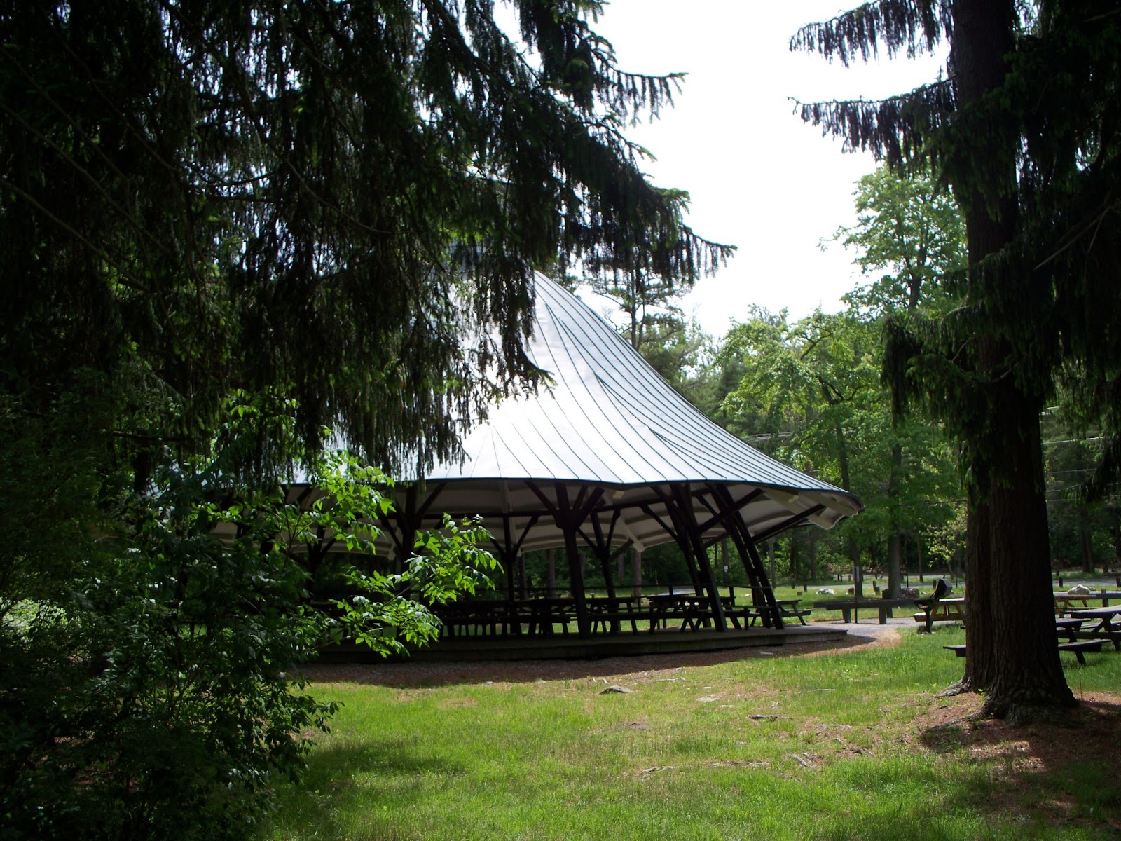 A Taste For The Woods Mont Alto State Park