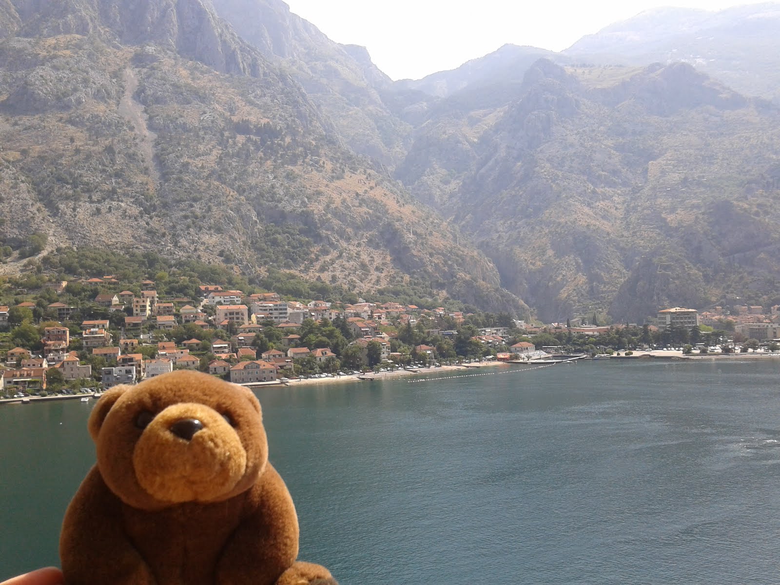 Teddy Bear in Kotor, Monte Negro