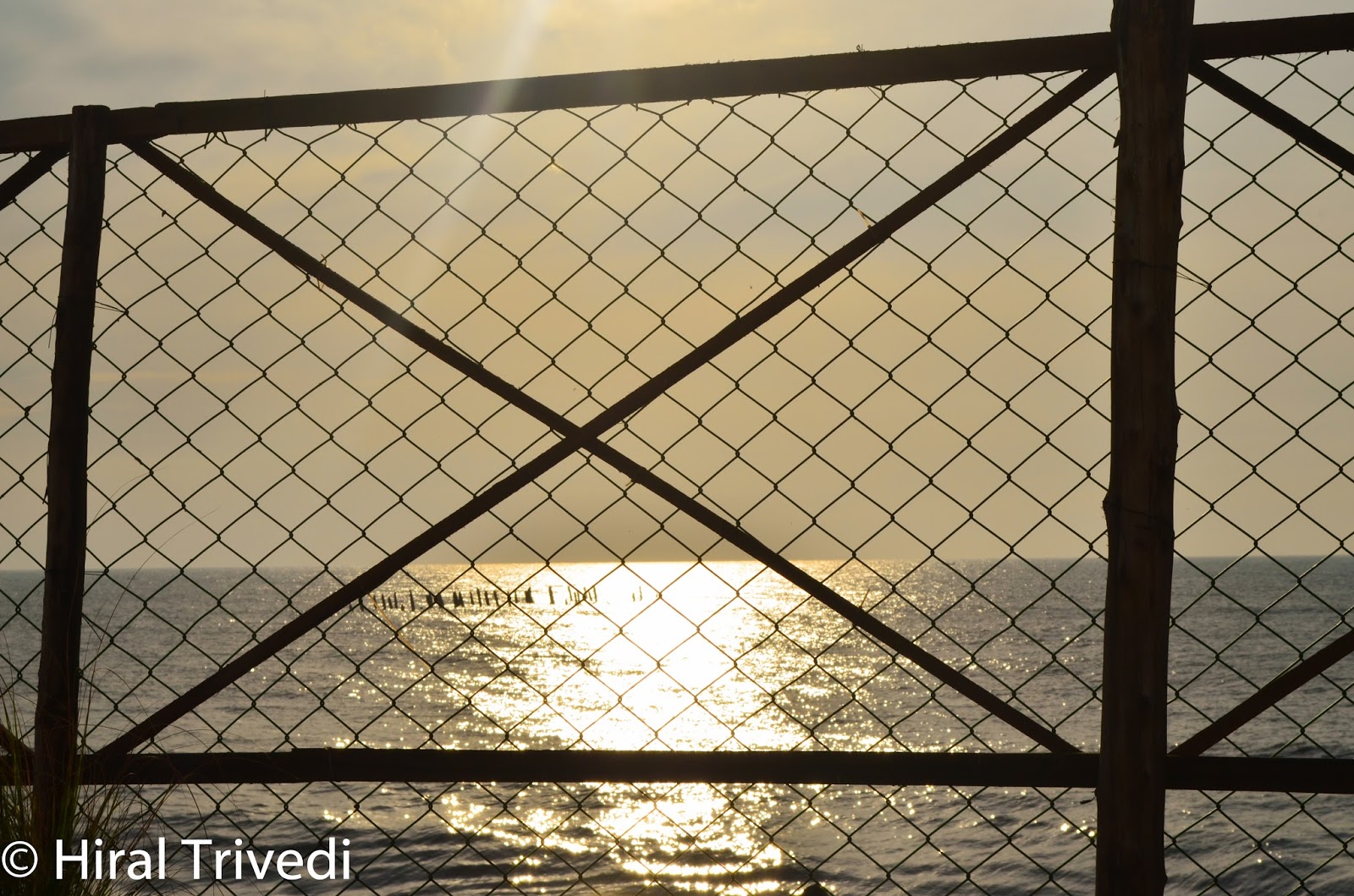 Greenline Travels And Holidays Bus Review Greenline Travels And Holidays Bus Review