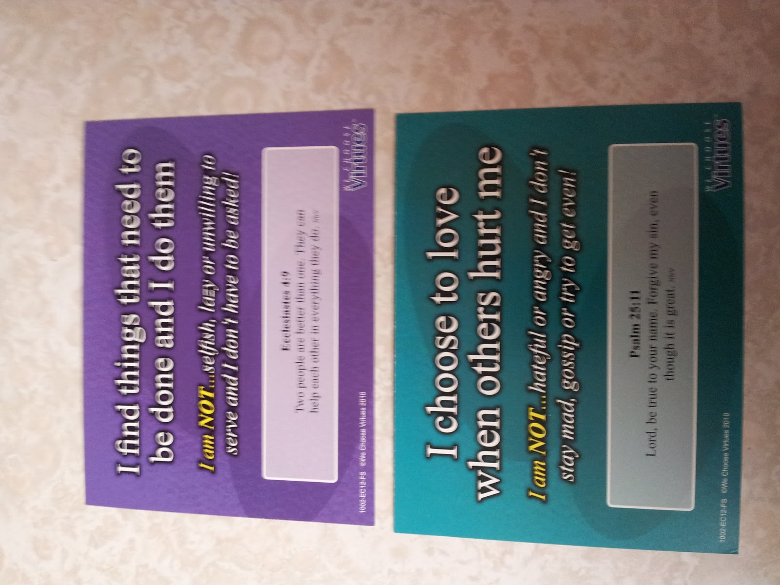 Our Homeschool Ohana We Choose Virtues Review & Coupon Code